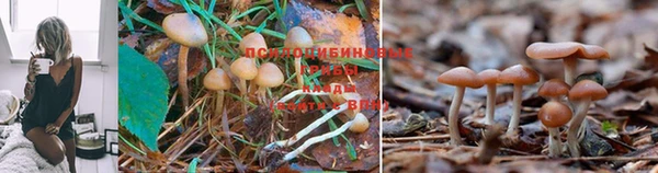 jwh Покров