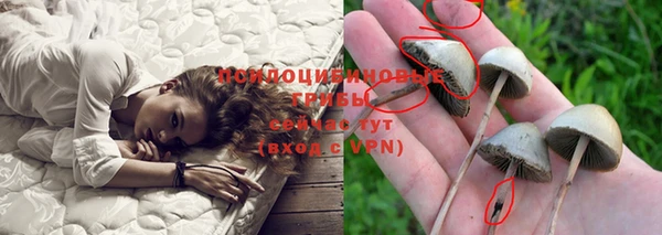 бутират Покачи