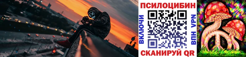 Галлюциногенные грибы GOLDEN TEACHER  Купить где  Шадринск 