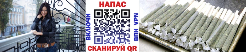 Бошки Шишки гибрид  Купить закладки  Шадринск 